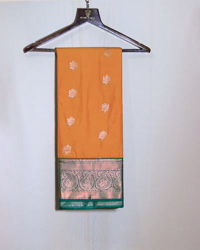 Why Every Woman Needs a Paithani Saree in Her Wardrobe