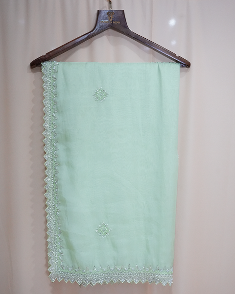 Elegant Pastel Green Organza Saree – Timeless Grace & Sheer Elegance