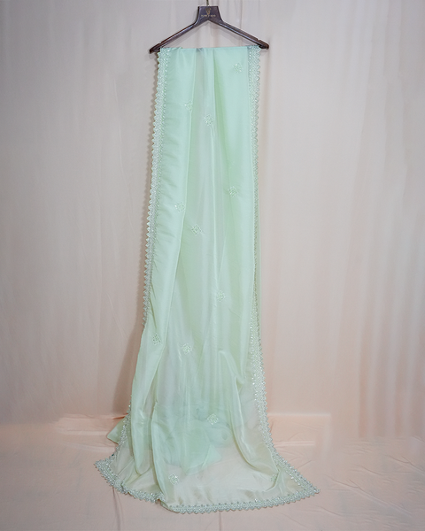 Elegant Pastel Green Organza Saree – Timeless Grace & Sheer Elegance