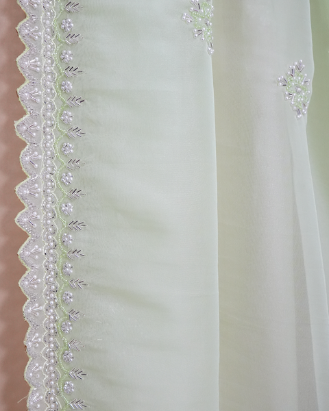 Elegant Pastel Green Organza Saree – Timeless Grace & Sheer Elegance