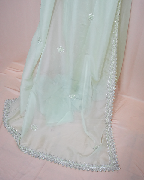 Elegant Pastel Green Organza Saree – Timeless Grace & Sheer Elegance