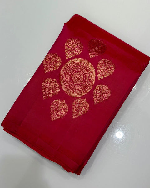 Maroon Borderless Kanjeevaram Pure Silk Saree with Embroidered Blouse