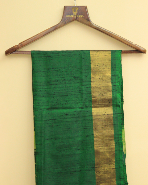 Verdant Waves Green Patola Saree with Golden Zari Border