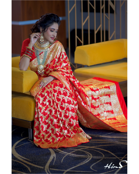 Red Banarasi Pure Silk Saree Jaal